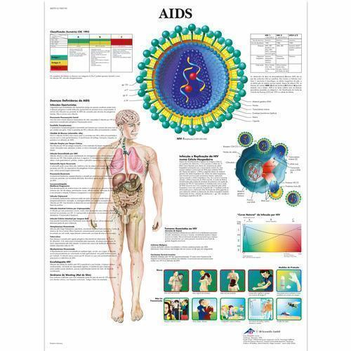 3b Scientific 1002195, Chart "aids" Portuguese