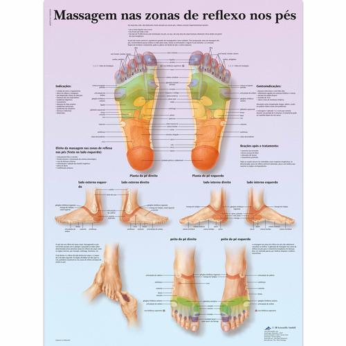 3b Scientific 1002205, Chart "massagem Nas Zonas De Reflexo" Portuguese