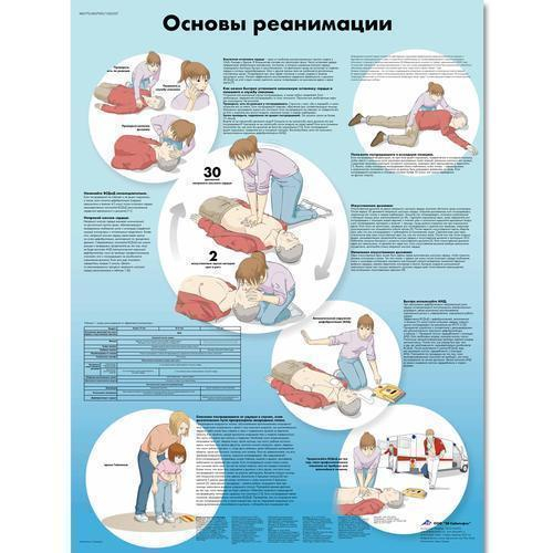 3b Scientific 1002357, Chart "basic Life Support" Russian