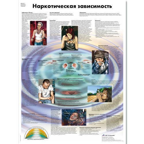 3b Scientific 1002359, Chart "drug Dependence" Russian