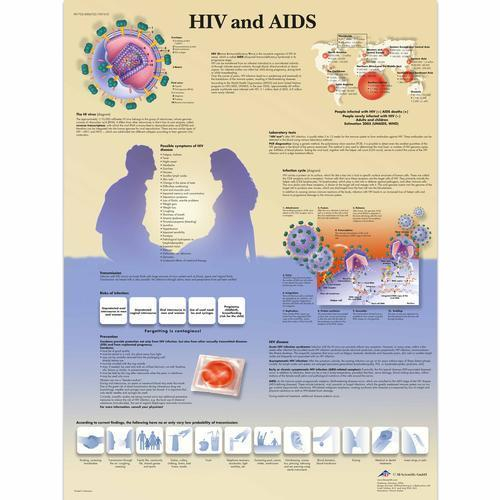 3b Scientific 4006722, Chart "hiv And Aids", Paper