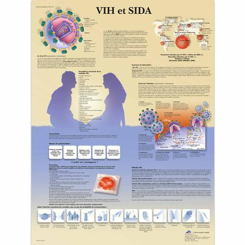 3b Scientific 4006804, Chart "vih Et Sida", French, Paper