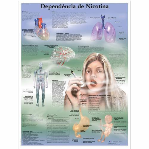 3b Scientific 4007017, Chart "depend Ncia De Nicotina", Portuguese