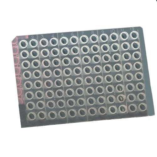 Azer Scientific Es53402, Sapphire 96 Well Pcr Plate, Elevated Wells