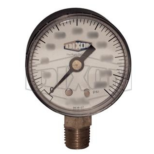 Dixon Valve GS100-4
