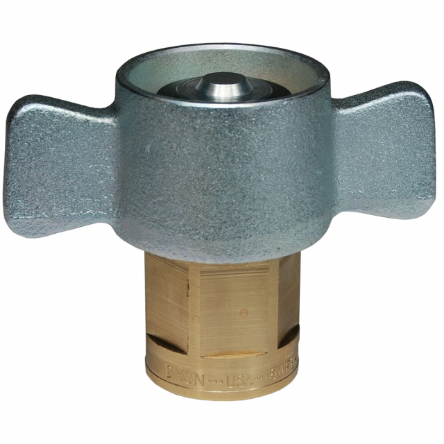 Dixon Valve 10WF10-B
