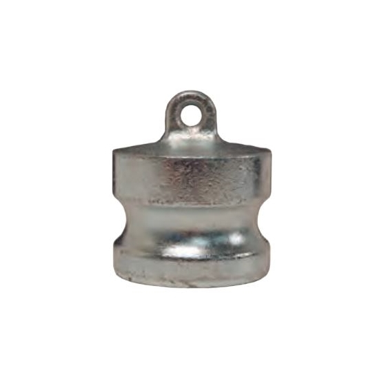 Dixon Valve 125-DP-PM