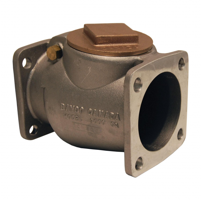 Buy Dixon Valve 3001SQN, Swing Check Valve Square TTMA Flange Mega Depot