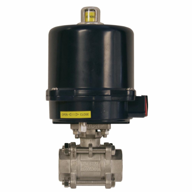 Dixon Valve BV2IG-10011-EK