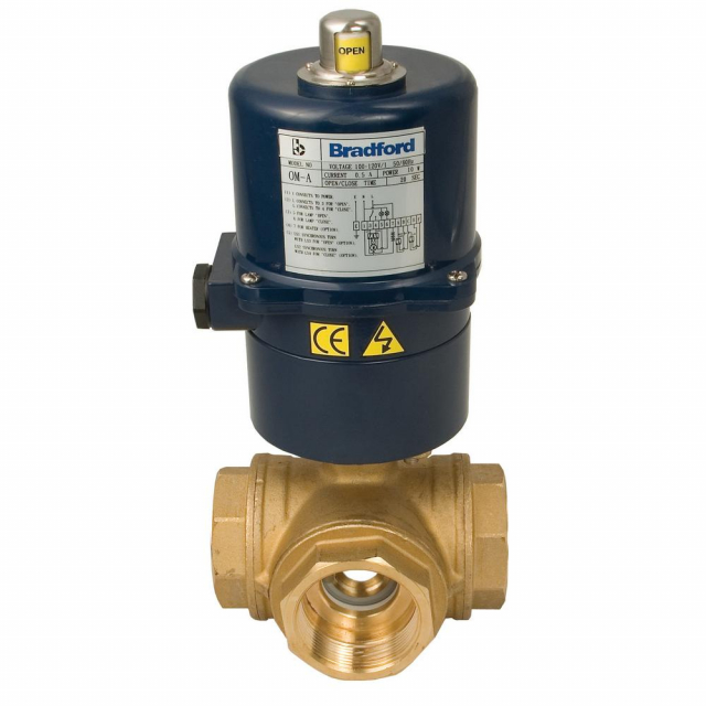 Dixon Valve BV3BVLR-1001-EK