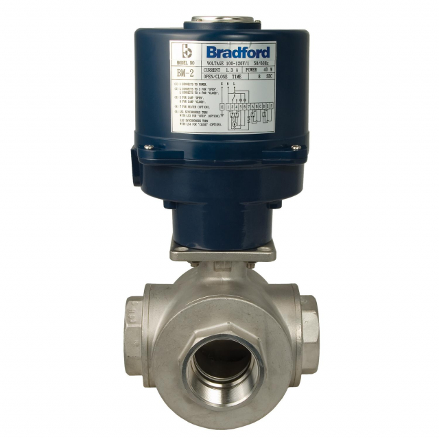 Dixon Valve BV3IGLF-0251-ES