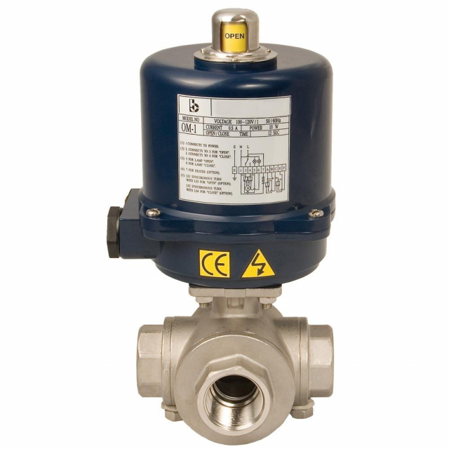 Dixon Valve BV3IGTF-1001-ES
