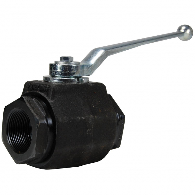 Dixon Valve