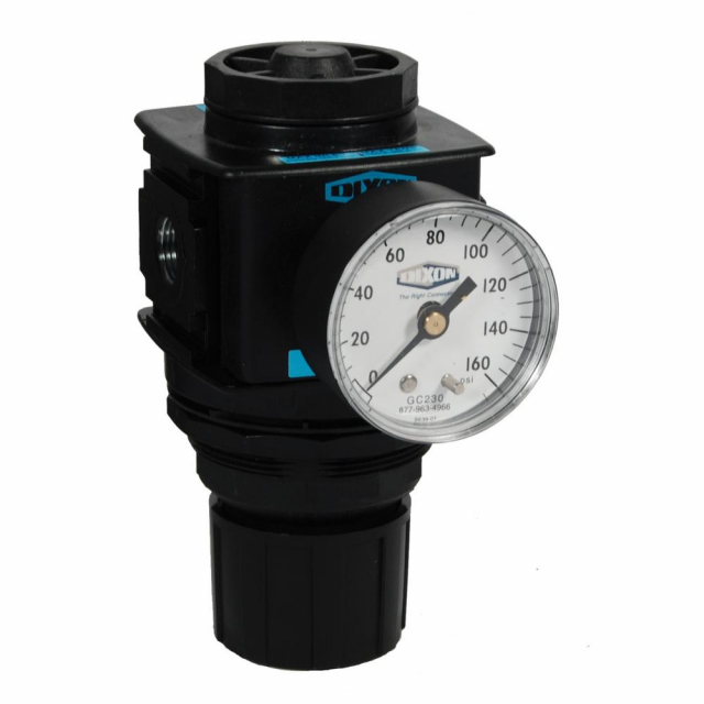 Dixon Valve R28-03RG