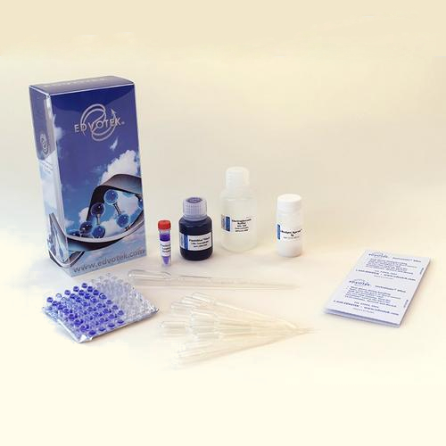 Edvotek 115, Cancer Gene Detection Experiment Kit