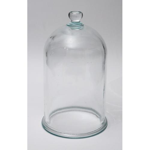 Fischer Technical Company Bjar-01, 5" X 9" Glass Bell Jar With Knob