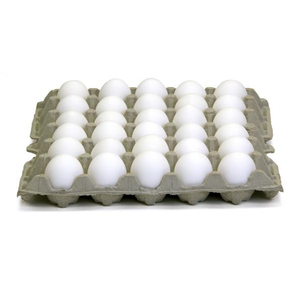 Gqf Manufacturing 0202, 140 Paper Chicken Egg Trays
