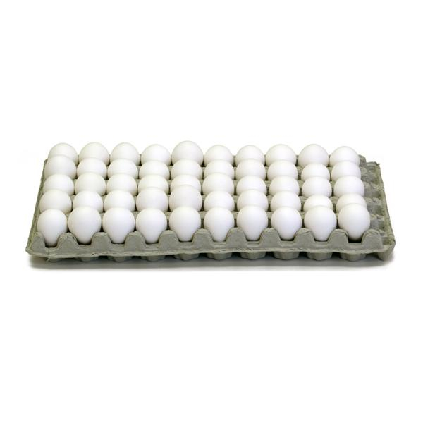 Gqf Manufacturing 0205, 15 Paper Quail Egg Tray