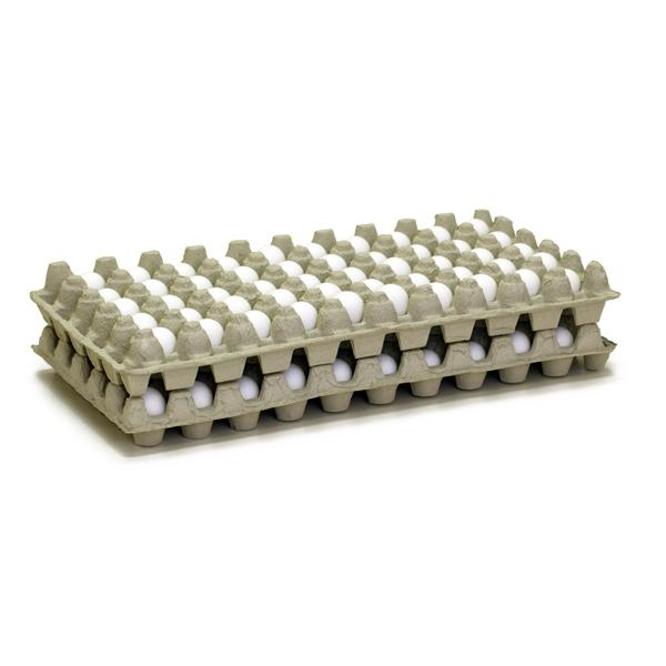 Gqf Manufacturing 0229, 10 Paper Chukar Egg Trays