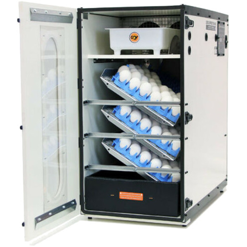 Buy GQF 1502, Digital Sportsman Incubator, 110V Mega Depot
